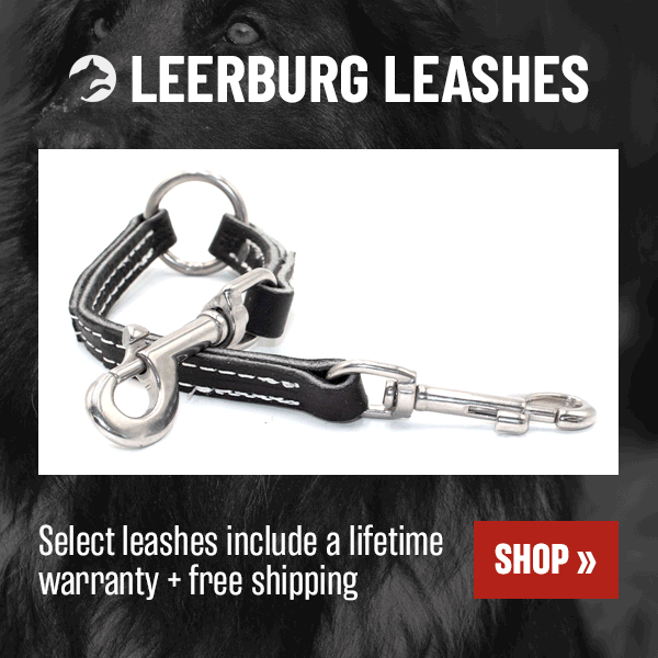 Shop Leerburg Leashes