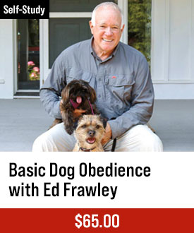 Basic Dog Obedience