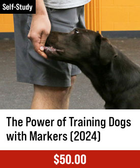 The Power of Training Dogs with Markers