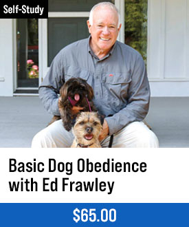 Basic Dog Obedience