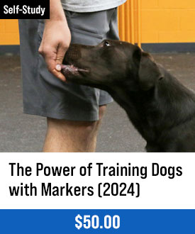 The Power of Training Dogs with Markers