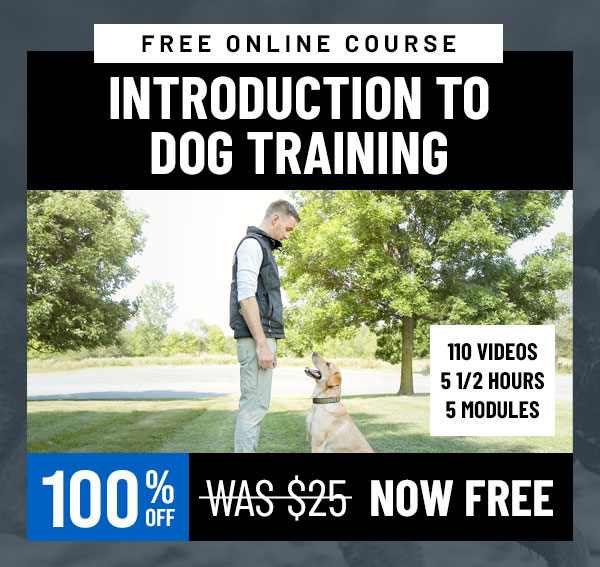 Free Course: Introduction to Dog Training with Jeff Frawley