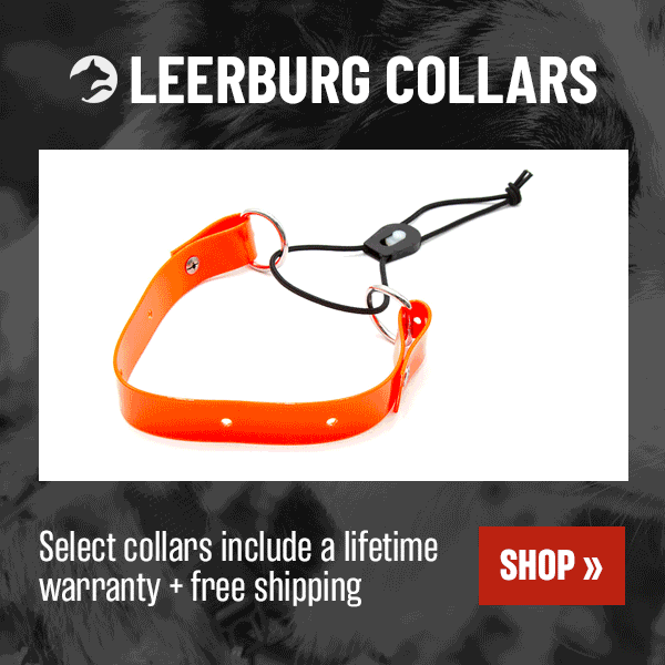 Shop Leerburg Collars
