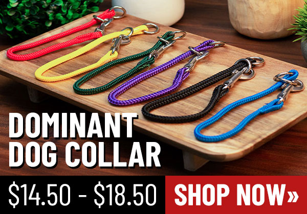 Dominant Dog Collar
