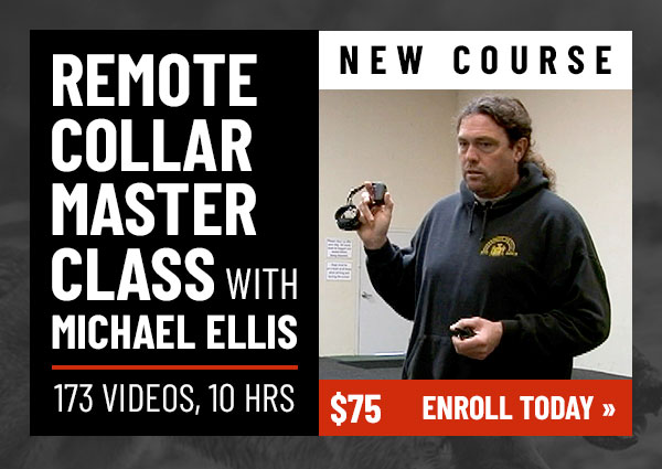 Remote Collar Master Class with Michael Ellis