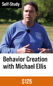 Behavior Creation with Michael Ellis