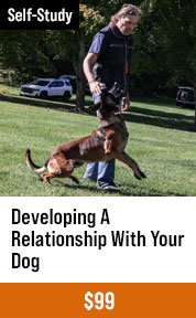 Developing a Relationship with Your Dog with Michael Ellis