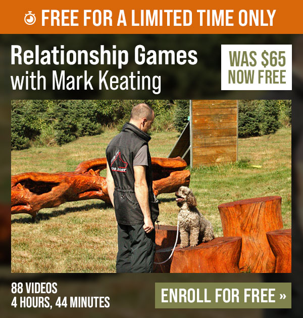 Free Course: Relationship Games with Mark Keating