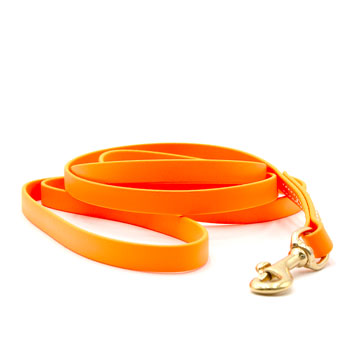 6ft Biothane Leash