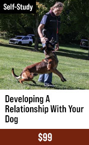 Developing a Relationship with Your Dog with Michael Ellis