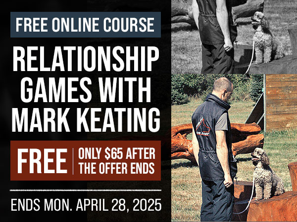 Free Course: Relationship Games with Mark Keating