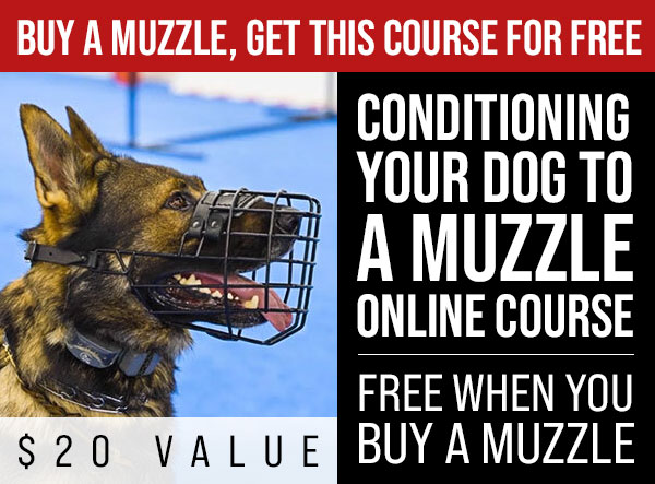 Conditioning Your Dog to a Muzzle