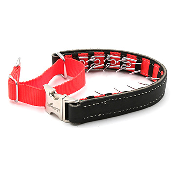 Leather Hidden Prong Collar - Orange Accents - 16in