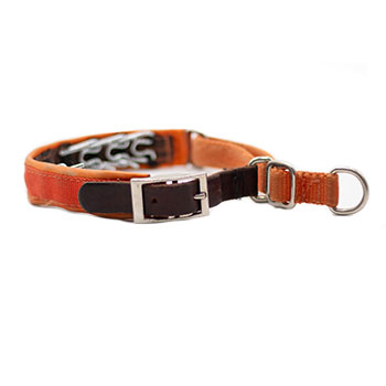 Keeper Collars Hidden Prong with Brown Leather Strap - Orange - 13 Inch