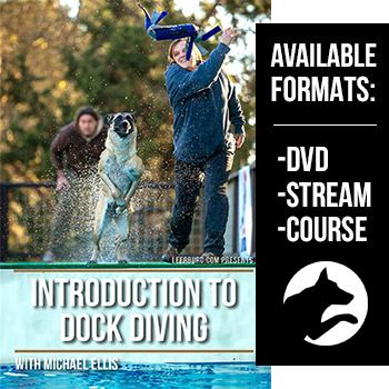 Introduction To Dock Diving with Michael Ellis