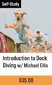 Introduction to Dock Diving