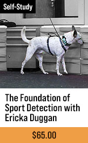 The Foundation of Sport Detection