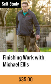 Finishing Work with Michael Ellis