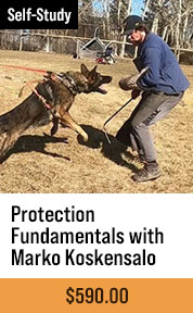 Protection Fundamentals