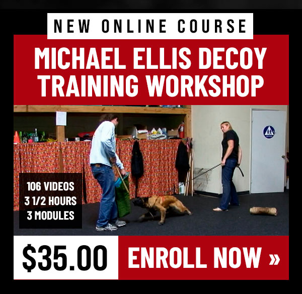 Decoy Training Workshop with Michael Ellis