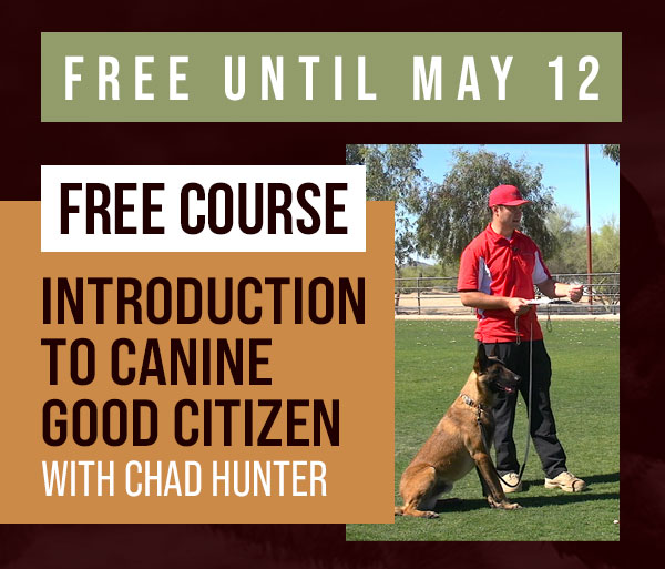 Free Course: Introduction to Canine Good Citizen 