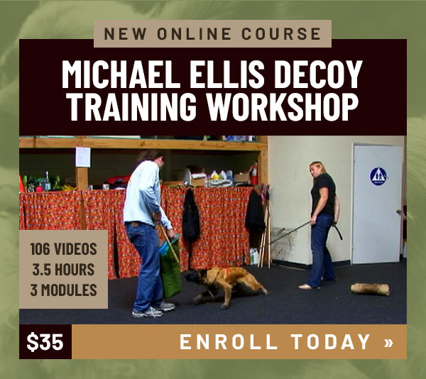 Decoy Training Workshop with Michael Ellis