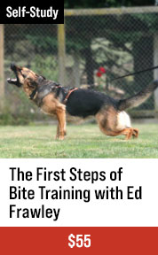 The First Steps of Bite Training