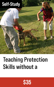 Teaching Protection Skills without a Decoy