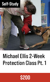 Michael Ellis 2-Week Protection Class Pt. 1