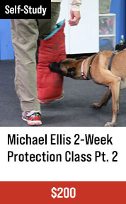 Michael Ellis 2-Week Protection Class Pt. 2