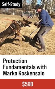 Protection Fundamentals