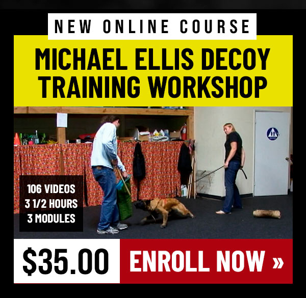 New Course: Michael Ellis Decoy Training Workshop