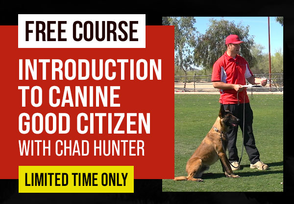 Free Course