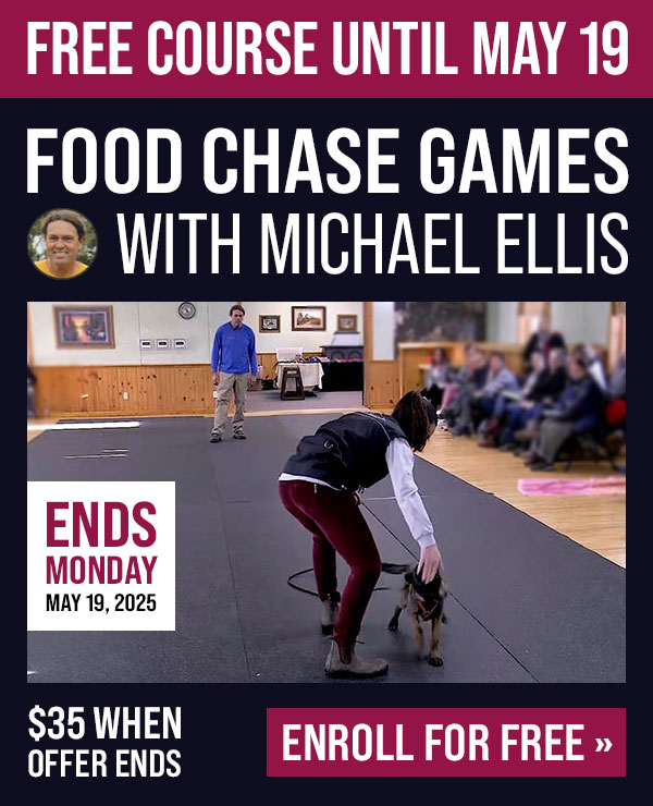 Food Chase Games with Michael Ellis