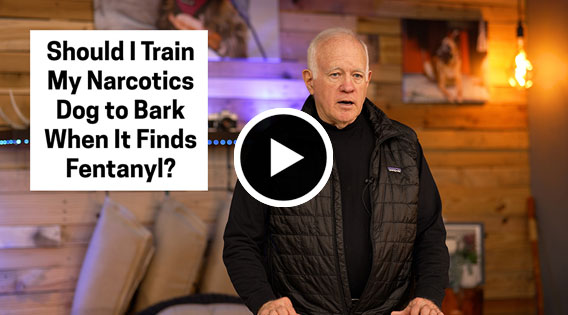 Should I Train My Narcotics Dog to Bark When It Finds Fentanyl?