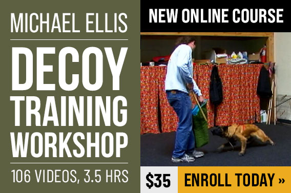 Michael Ellis Decoy Training Workshop