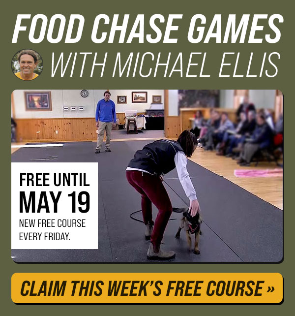 Food Chase Games with Michael Ellis