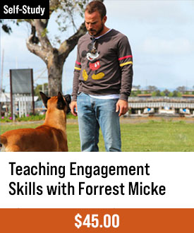 Teaching Engagement Skills