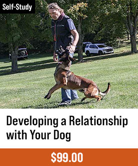 Developing A Relationship With Your Dog with Michael Ellis