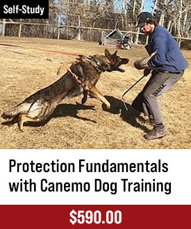 Protection Fundamentals