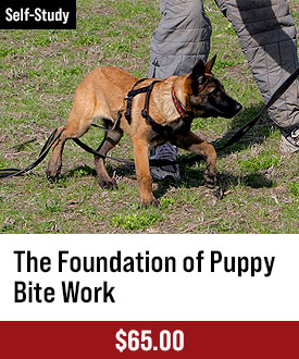 The Foundation of Puppy Bite Work