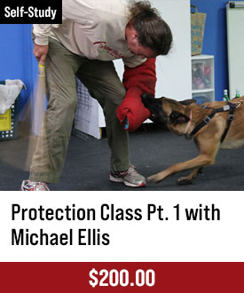 Protection Class - Part 1