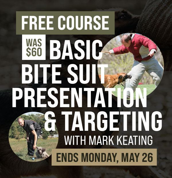 Free Course: Basic Bite Suit Presentation & Targeting