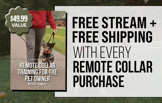 Free Shipping with Remote Collar Purchase (Exclusions Apply)