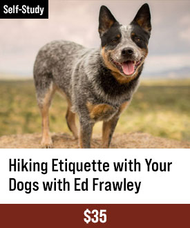 Hiking Etiquette with Your Dogs