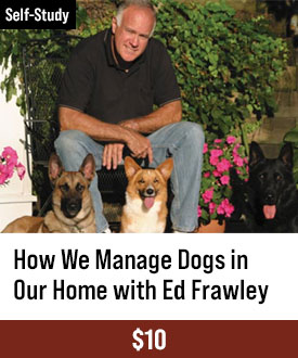 How We Manage Dogs in Our Home by Ed Frawley