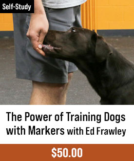 The Power of Training Dogs with Markers - Version 2024