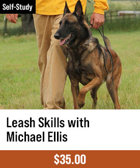 Leash Skills