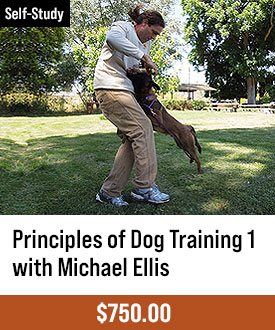 The Principles of Dog Training 1