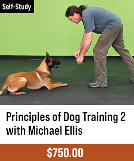 The Principles of Dog Training 2